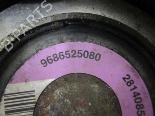 Steering pump PEUGEOT 206+ (2L_, 2M_) 1.1 | BP18798419M99 