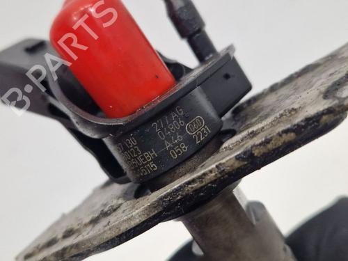 Injector AUDI A8 D3 (4E2, 4E8) 4.2 TDI quattro | BP31877070M100 