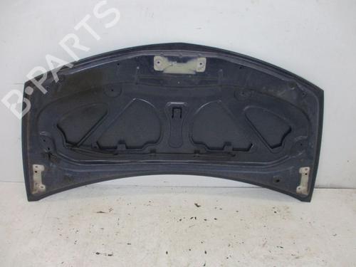Hood RENAULT CLIO III (BR0/1, CR0/1) 1.2 16V (BR02, BR0J, BR11, CR02, CR0J, CR11) | BP18798863C1 