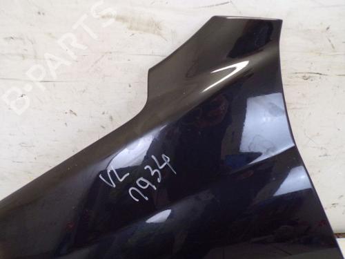 Left front fenders PEUGEOT 207 (WA_, WC_) 1.6 16V VTi | BP19298497C41 
