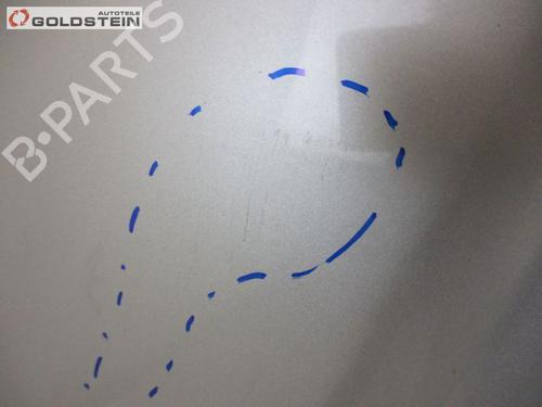 Hood NISSAN X-TRAIL I (T30) 2.2 dCi 4x4 | BP18762542C1 