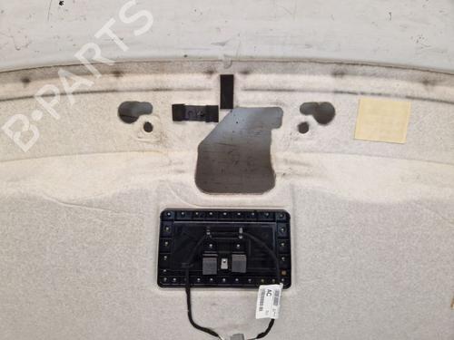 Interiør tag FORD TRANSIT V363 Van (FCD, FDD) 2.0 EcoBlue | BP37141605I12  - Image 9