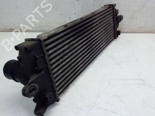 Intercooler RENAULT TRAFIC II Van (FL) 2.0 dCi 115 (FL01, FL0U, FL00, FL0H, FL0M) | BP29102054M30 