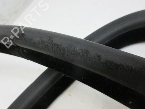Gummiliste BMW X5 (E53) 4.4 i | BP37125042C142 - Image 5