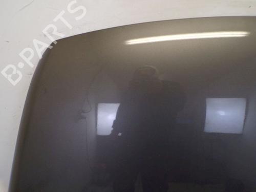 Hood VW TOUAREG (7LA, 7L6, 7L7) 3.6 V6 FSI | BP19294077C1 