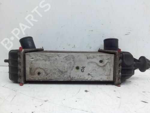 Intercooler NISSAN MICRA IV (K13K, K13KK) 1.2 | BP31703397M30 