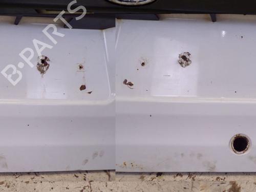 Tailgate FORD TRANSIT CONNECT (P65_, P70_, P80_) 1.8 TDCi | BP29096257C6 