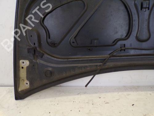 Hood RENAULT CLIO III (BR0/1, CR0/1) 1.6 16V (BR09, BR0T, CR09, CR0T) | BP29098067C1 