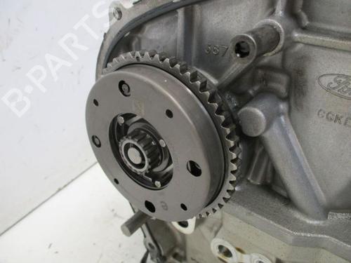 Cylinder head FORD FIESTA VII (HJ, HF) 1.0 EcoBoost | BP32661247M5 