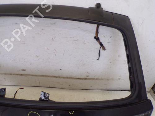 Tailgate BMW 3 Touring (E91) 320 d | BP29091464C6 