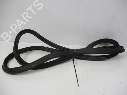rubber-door-seal-audi-a5-8t3-2007-2008-2009-2010-2011-2012-2013-2014-2015-2016-2017-37110603 main image