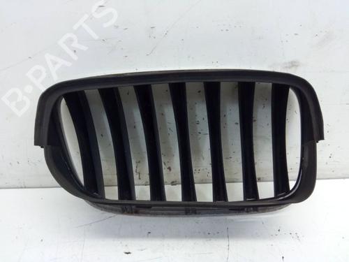 Grille BMW X5 (E70) xDrive 30 i | BP29102883C40 