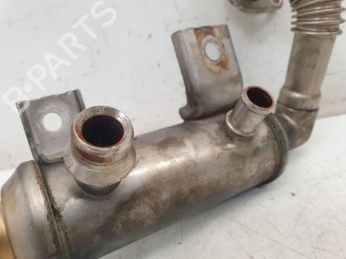 Egr FORD GALAXY II (WA6) 1.8 TDCi | BP37146444M69 - Image 8