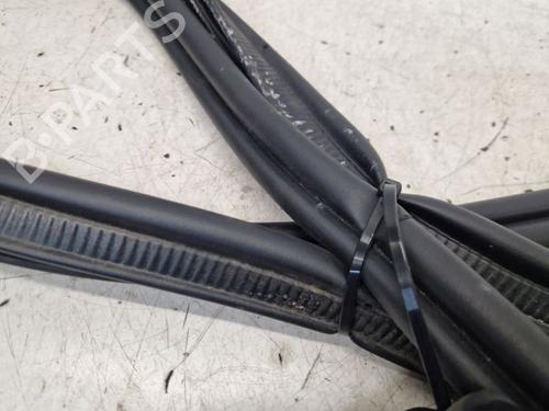 Rubber door seal RENAULT MEGANE E-TECH SUV EV60 (BNJ1) | BP29100783C142 