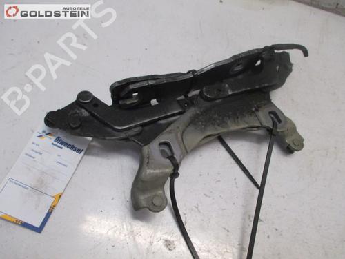 Hinge/Door check strap MINI MINI (R56) Cooper S | BP13759223C146 