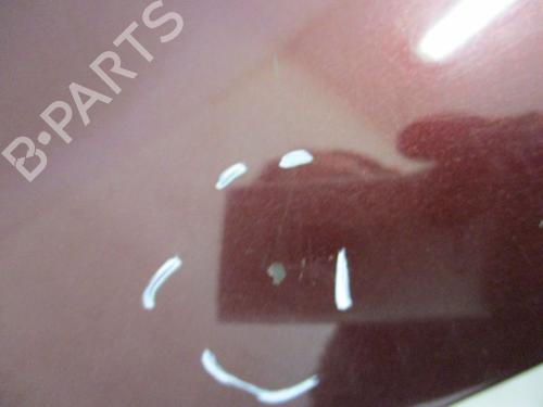Left front fenders SKODA OCTAVIA II (1Z3) 1.6 TDI | BP18792125C41 
