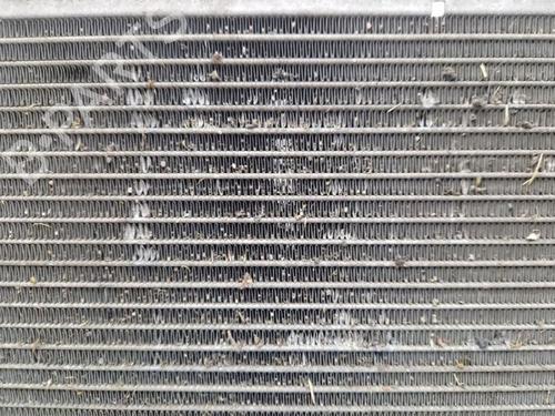 Water radiator MINI MINI (R56) Cooper S | BP31703532M31 