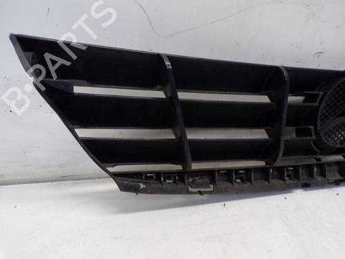 Grille MERCEDES-BENZ A-CLASS (W169) A 170 (169.032, 169.332) | BP29100629C40 