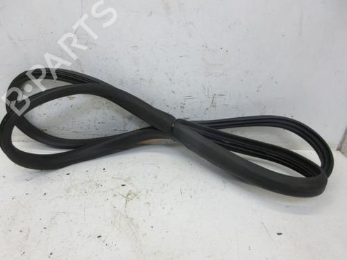Rubber door seal RENAULT ZOE (BFM_) ZOE | BP29090188C142 