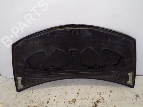 Hood RENAULT CLIO III (BR0/1, CR0/1) 1.2 16V (BR02, BR0J, BR11, CR02, CR0J, CR11) | BP29095382C1 