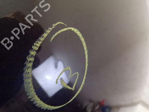 Hood PEUGEOT 407 Coupe (6C_) 2.7 HDi | BP29089172C1 