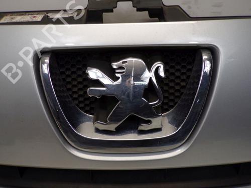Grille PEUGEOT EXPERT Van (VF3A_, VF3U_, VF3X_) 1.6 HDi 90 8V | BP29100038C40 
