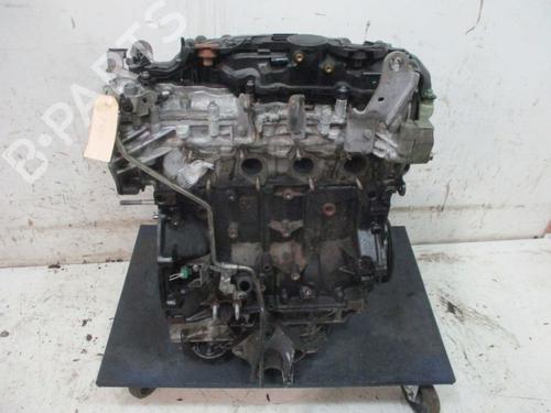 Engine RENAULT MEGANE II Coupé-Cabriolet (EM0/1_) 2.0 dCi | BP29089888M1 