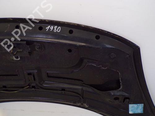 Hood FIAT DOBLO Cargo (263_) 1.3 D Multijet | BP29094667C1 