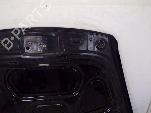 Hood VW TOUAREG (7LA, 7L6, 7L7) 3.2 V6 | BP19295310C1 