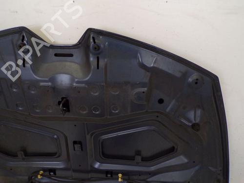 Hood RENAULT CLIO IV (BH_) 1.2 TCe 120 (BHM0) | BP29083665C1 