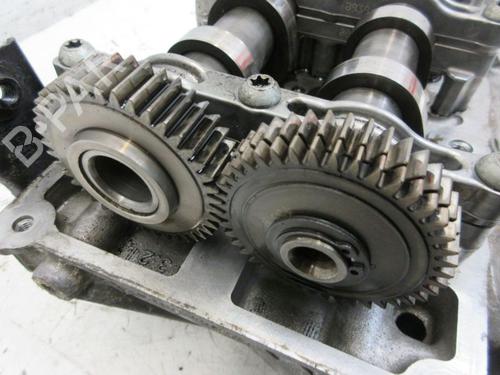 Cylinder head AUDI A8 D4 (4H2, 4H8, 4HC, 4HL) 3.0 TDI quattro | BP19295121M5