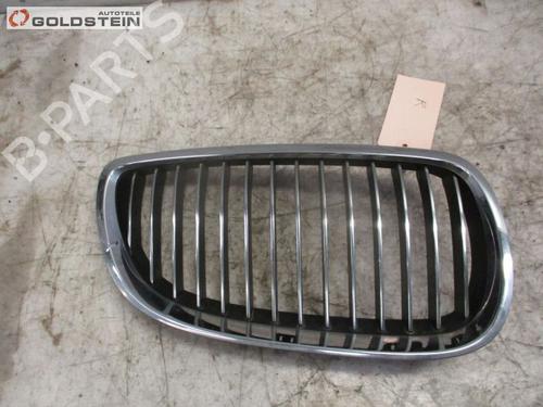 Used Grille BMW 3 Coupe (E92) 325 i (218 hp) 13761227