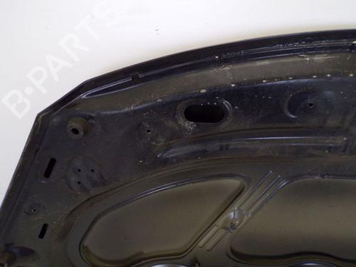 Hood PEUGEOT 307 CC (3B) 2.0 HDi 135 | BP29095161C1