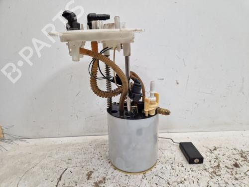 Used Fuel pump AUDI A6 C6 (4F2) 2.4 (177 hp) 29702732