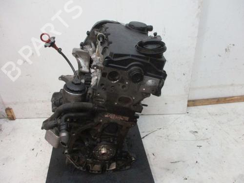 Engine AUDI A4 B7 (8EC) 2.0 TDI 16V | BP29523817M1 