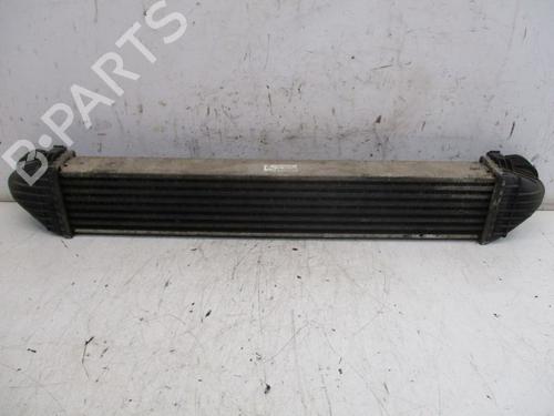 Intercooler MERCEDES-BENZ A-CLASS (W169) A 160 CDI (169.006, 169.306) | BP19296326M30 