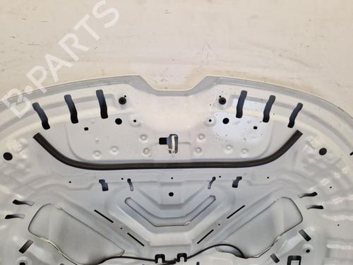 Hood RENAULT AUSTRAL E-TECH 200 Hybrid (HGM2) | BP29108484C1 