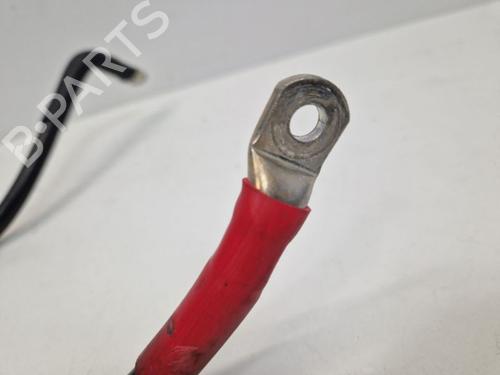 Cable AUDI A8 D3 (4E2, 4E8) 4.2 TDI quattro | BP31877036E12