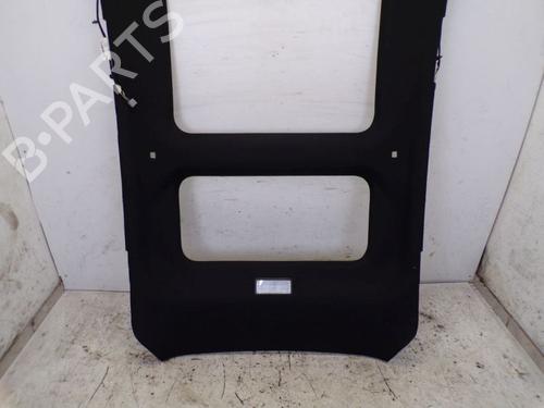 Interior roof FORD FIESTA VII (HJ, HF) 1.0 EcoBoost mHEV | BP18808305I12