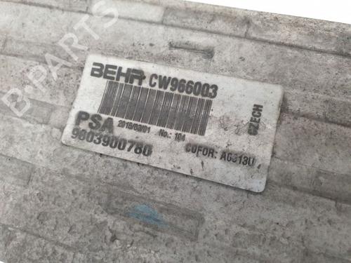 Intercooler PEUGEOT 2008 I (CU_) 1.6 BlueHDi 120 | BP39008222M30 - Image 9