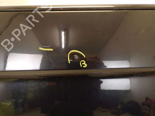 Left front door BMW X5 (E53) 3.0 d | BP22317682C2 