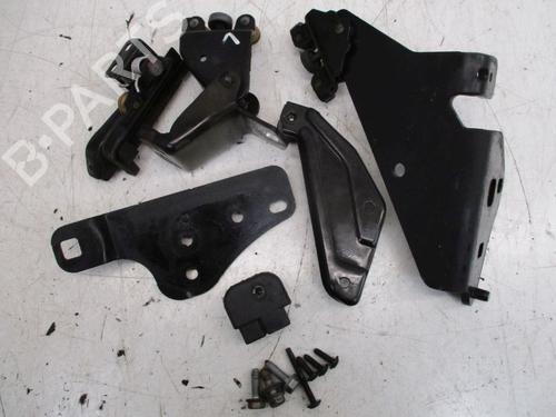 Hinge/Door check strap RENAULT KANGOO / GRAND KANGOO II (KW0/1_) 1.5 dCi 90 (KW05, KW08, KW0G, KW11) | BP19296181C146 