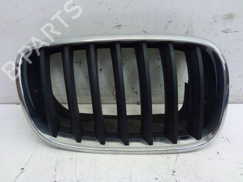 Grille BMW X5 (E70) xDrive 30 i | BP29102884C40 