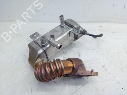 Egr RENAULT TRAFIC III Van (FG_) 1.6 dCi 95 (FGMJ, FGMR) | BP28174886M69 