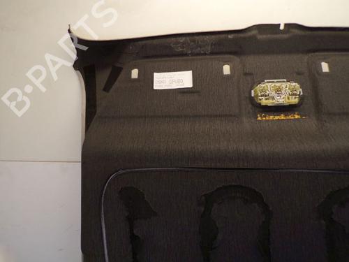 Interior roof PEUGEOT 1007 (KM_) 1.4 | BP29089004I12 