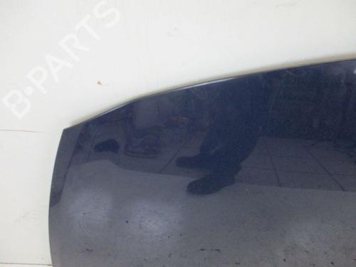 Hood RENAULT CLIO III (BR0/1, CR0/1) 1.2 16V (BR02, BR0J, BR11, CR02, CR0J, CR11) | BP18798863C1 