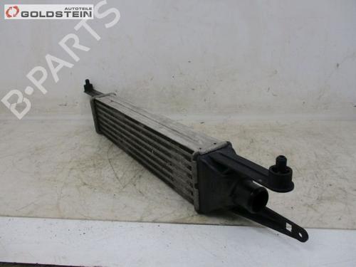 Intercooler FIAT GRANDE PUNTO (199_) 1.3 D Multijet (199.AXD11, 199.AXD1A, 199.AXD1B,... | BP37099506M30 - Image 4