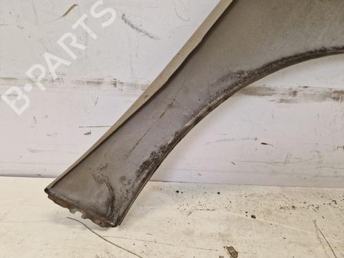 Left front fenders PEUGEOT 207 (WA_, WC_) 1.4 16V | BP29101892C41 