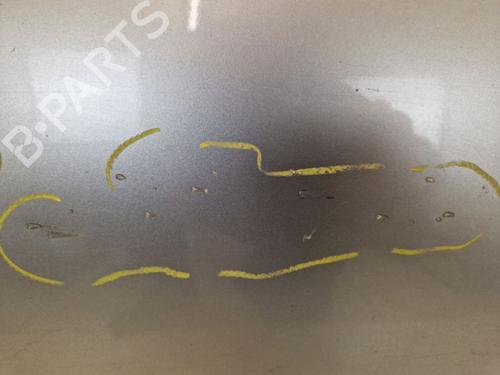 Left rear door NISSAN QASHQAI I (J10, NJ10) 1.6 | BP29104542C4 