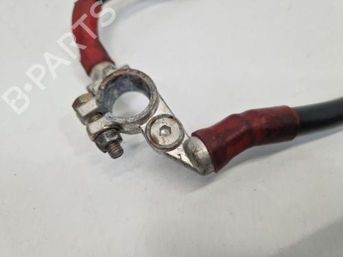 Cable AUDI A8 D3 (4E2, 4E8) 4.2 TDI quattro | BP31877036E12